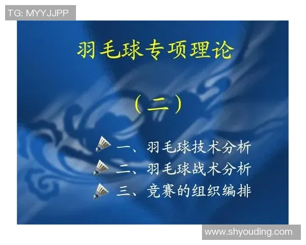 北京羽毛球队挑战赛技术分析与表现评估全方位解读
